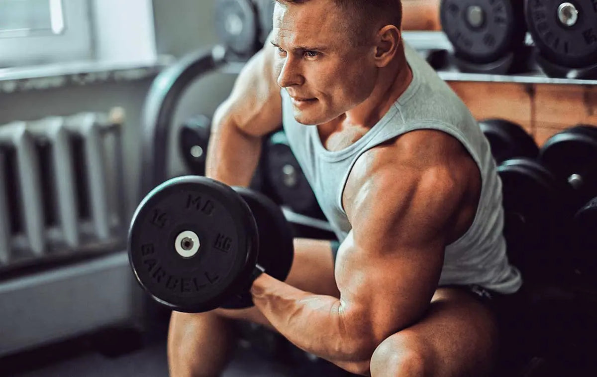Benefits of Dumbbell Exercises - Body Building India