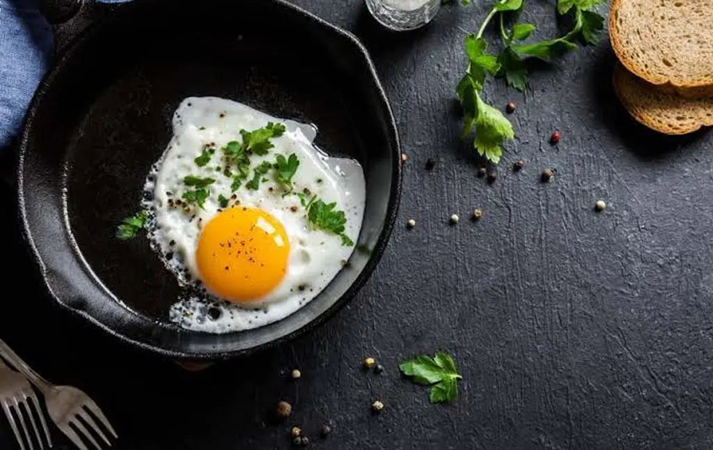 eggs protein