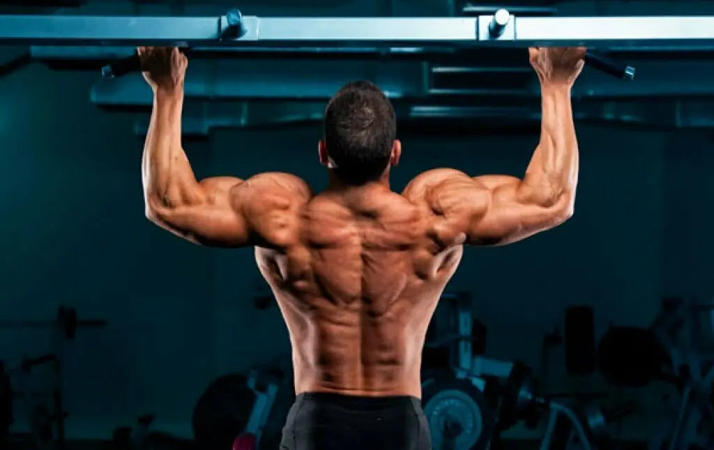 Biuild Muscle Muscle Building Myths - Body Building India