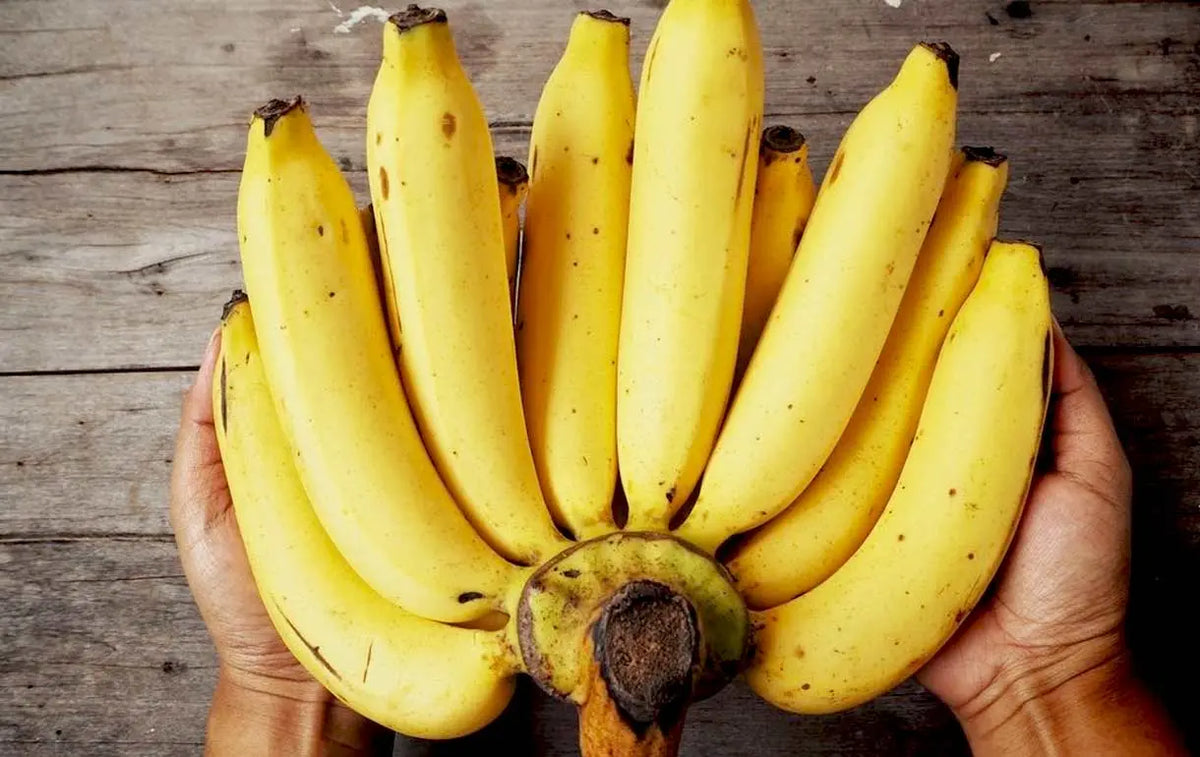 Bananas- The Energy Booster - Body Building India