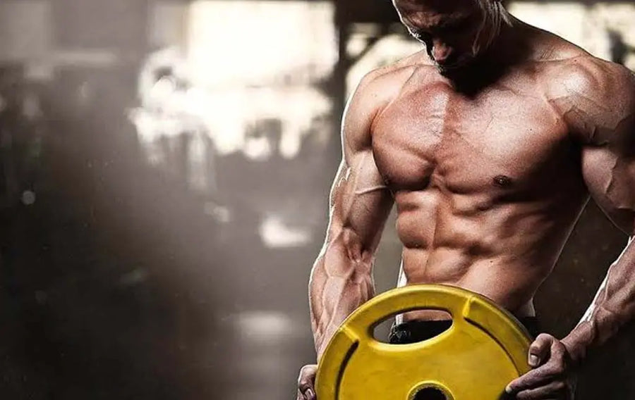 best gym exercises
