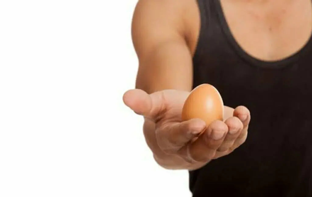 EGGS & MUSCLE - Body Building India