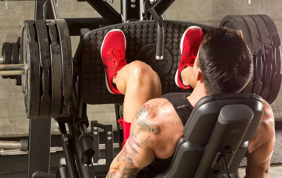 Legs on Saturday!!! - Body Building India