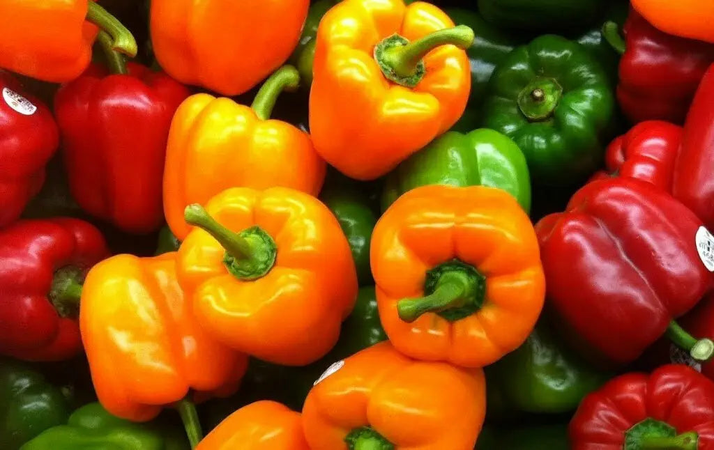 Rich Source of Vitamin C - Capsicum