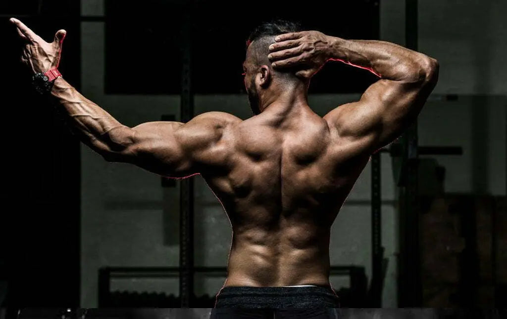 Save the back