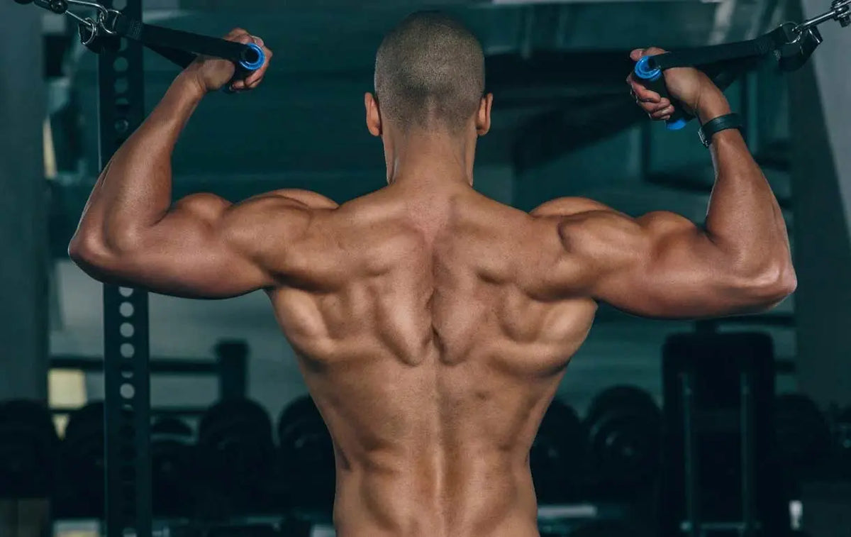 Saving the back - Body Building India
