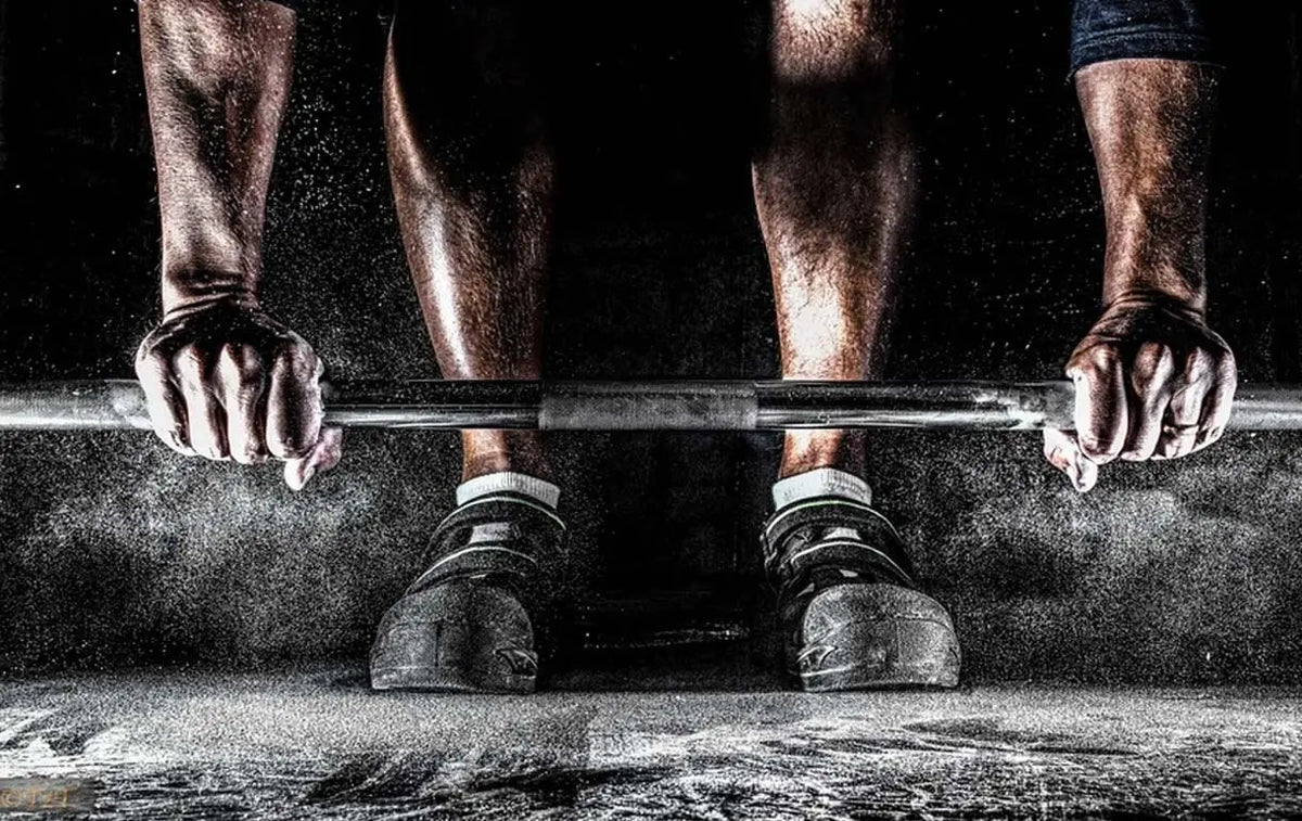 Gym Addicts - Body Building India