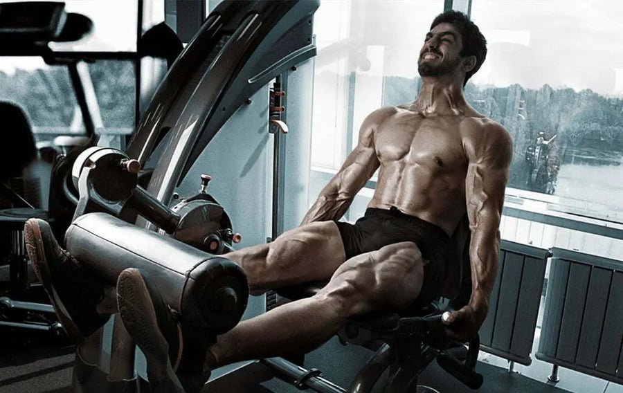 leg extensions