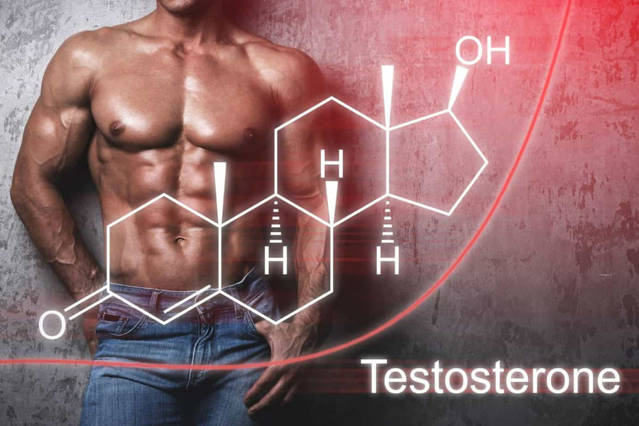 Jacking Iron: Masturbation and Body Building - How Testosterone Supplements Can Help - Body Building India
