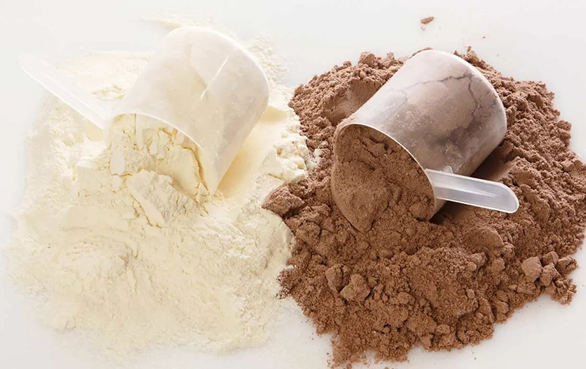 Whey vs Casein - Body Building India