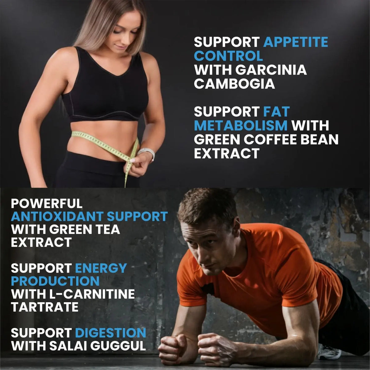 BBI Fat Burner Supplement – Thermogenic Support, Fat Metabolism & Energy | 60 Capsules Product vendor