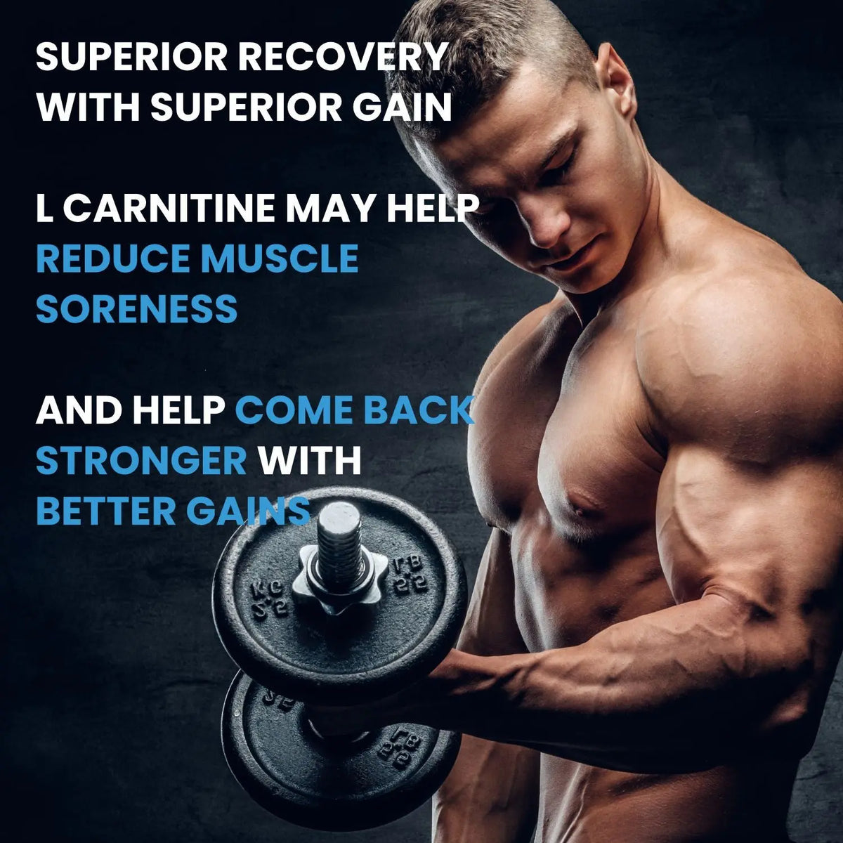 BBI L-Carnitine L-Tartrate 500 mg Supplement – Fat Burner, Energy & Performance Support | 60 Capsules Product vendor