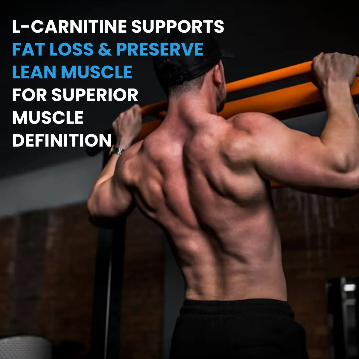 BBI L-Carnitine L-Tartrate 500 mg Supplement – Fat Burner, Energy & Performance Support | 60 Capsules Product vendor
