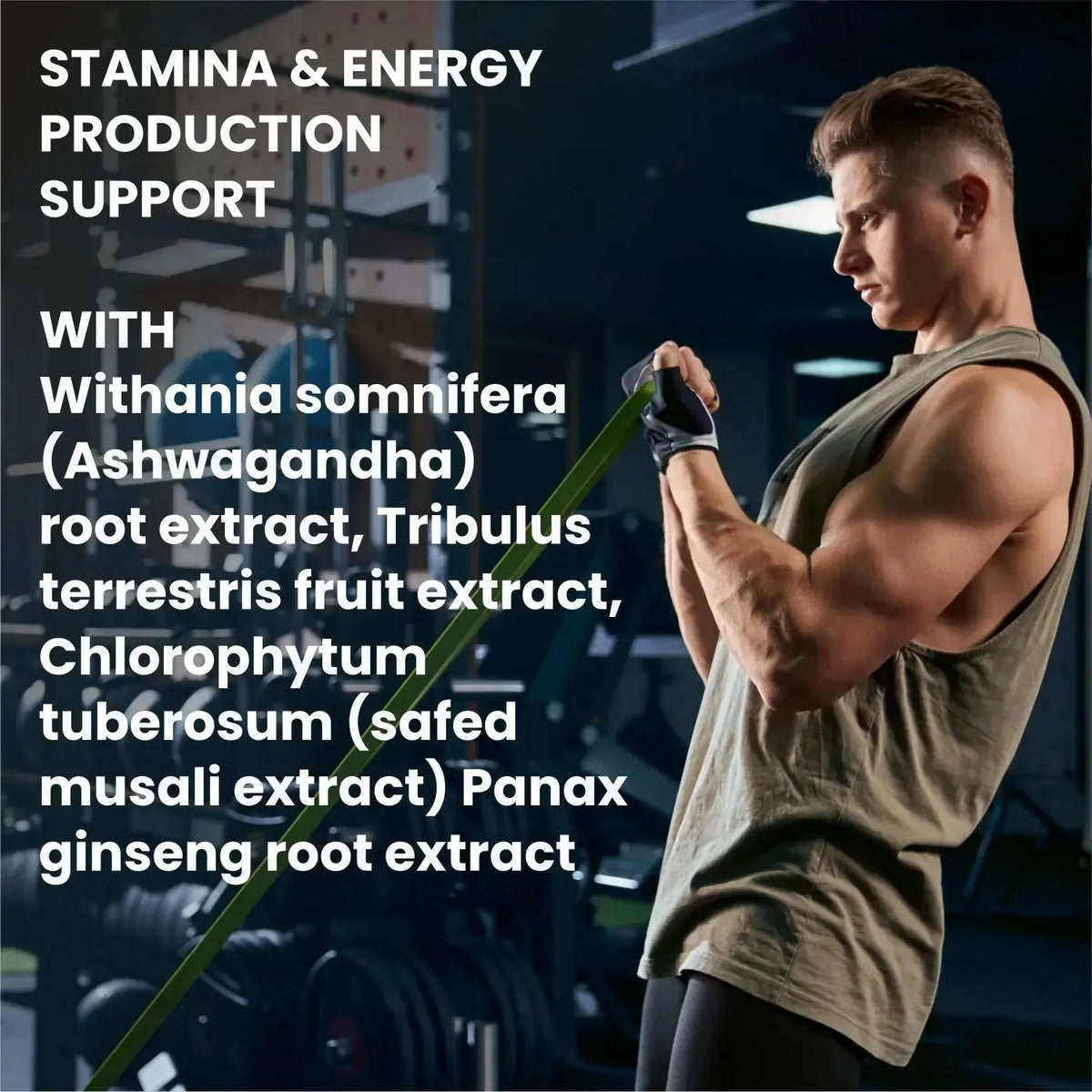 BBI Multivitamin for Men Supplement – Vitamins & Minerals for Energy, Immunity & Muscle Health | 60 Tablets Product vendor