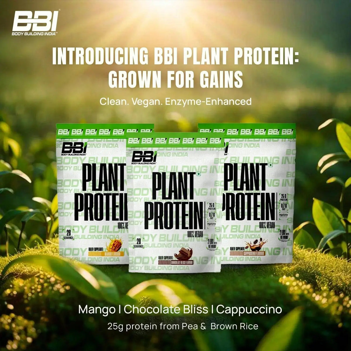 Body Building India BBI Plant Protein | Pea Protein Isolate & Brown Rice Protein | Added Vitamins and Minerals| Added Digizyme digestive enzymes| 2lbs Product vendor