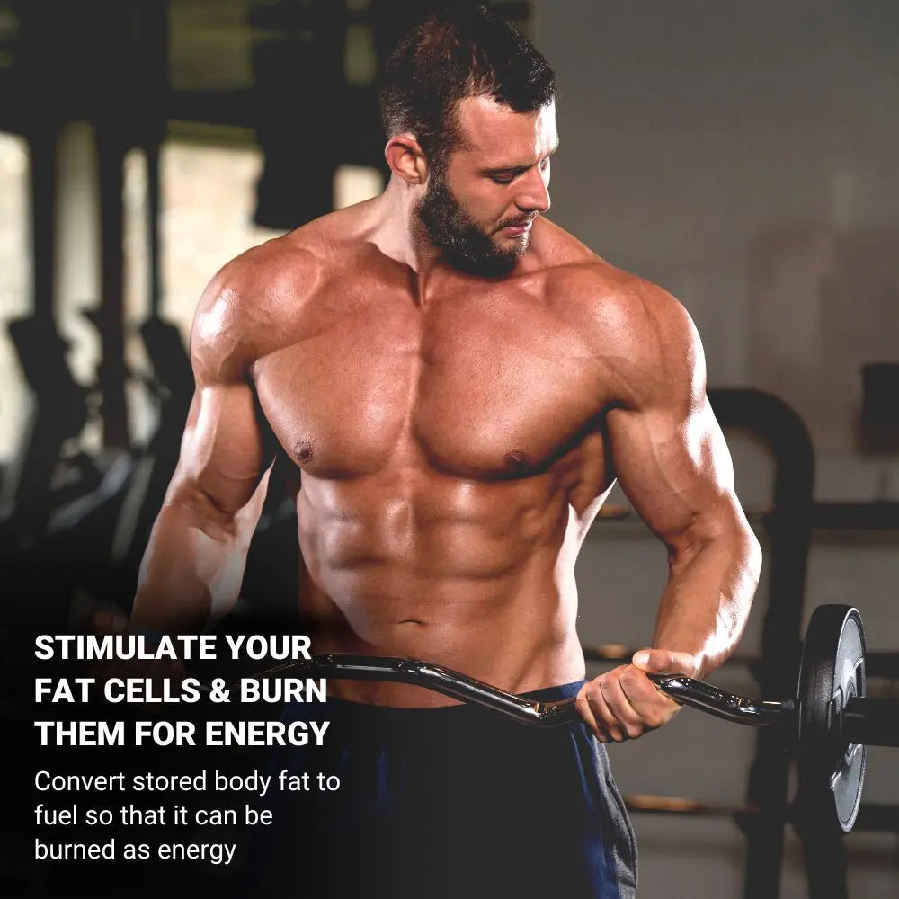 Buy L-Carnitine Powder for Energy & Weight Loss  Body Building India
