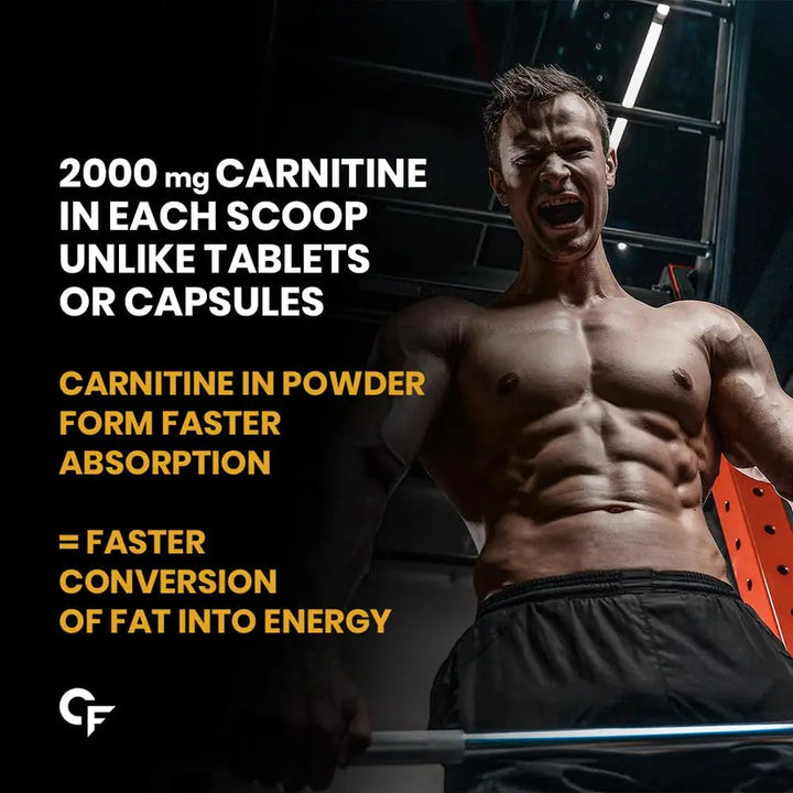 Carbamide Forte L Carnitine Powder for Men & Women | L-Carnitine L Tartrate 2000mg Product vendor