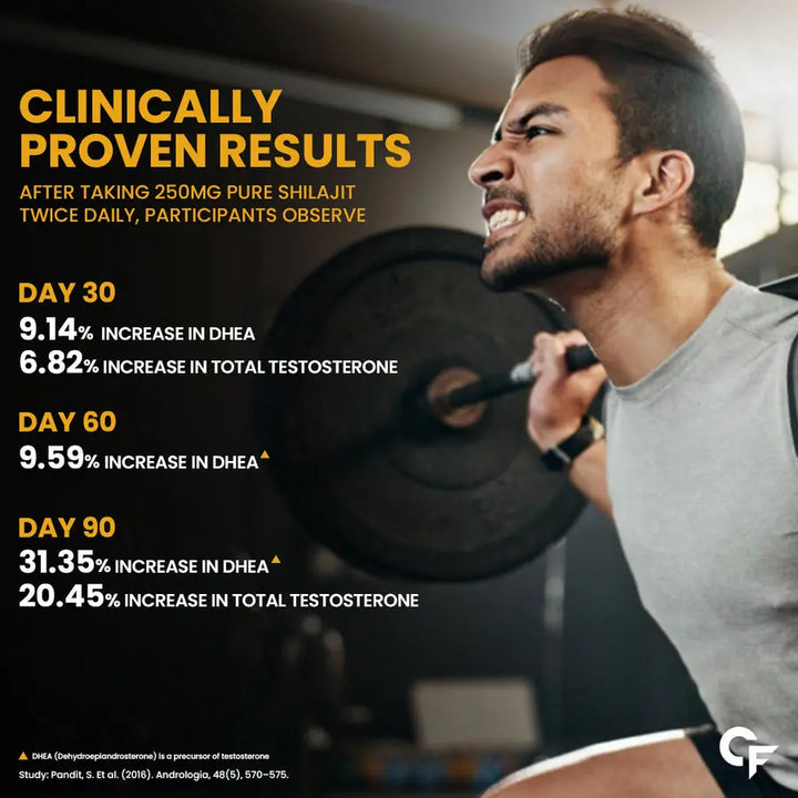 Carbamide Forte Shilajit Gold Capsules For Men | 60 Shilajit Capsules Product vendor