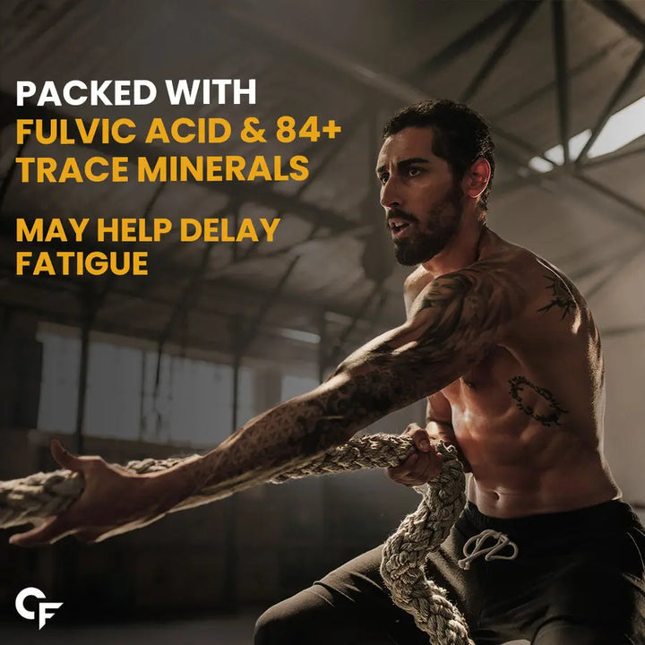 Carbamide Forte Shilajit Gold Capsules For Men | 60 Shilajit Capsules Product vendor