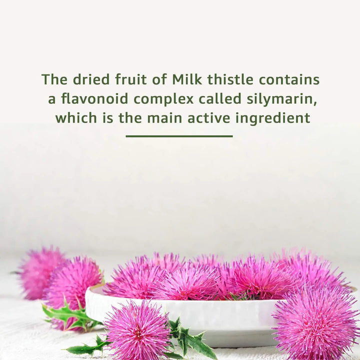 GNC Milk Thistle 250Mg Capsules - 90 Count - Halt