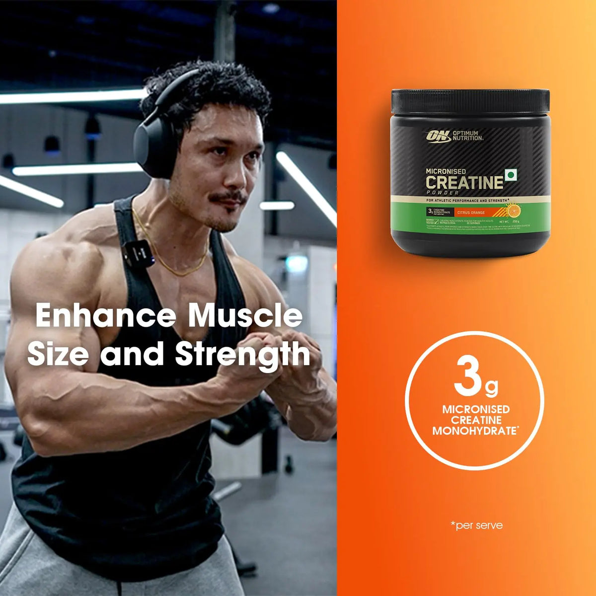 Optimum Nutrition Micronized Creatine Powder Product vendor