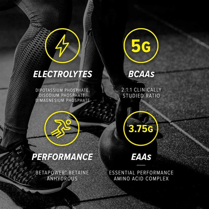 Cellucor Alpha Amino EAA & BCAA Powder Product vendor