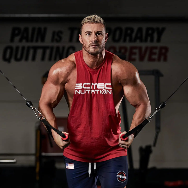 Scitec Nutrition 100% whey Protein Professional Product vendor