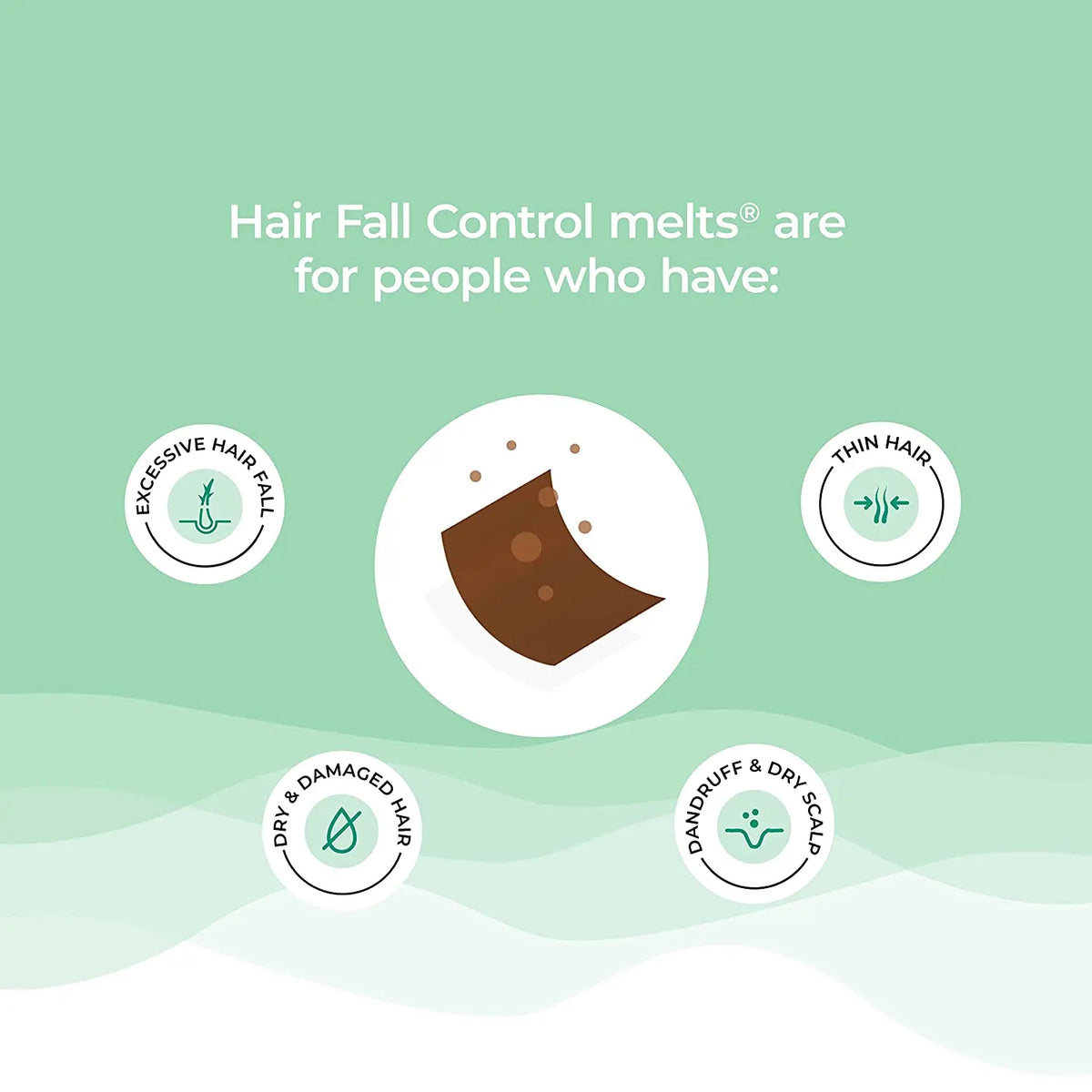 Wellbeing Nutrition Melts Hair Fall Control (30 Oral Strips) Product vendor
