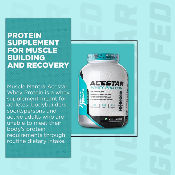 Acestar muscle Building protein powder